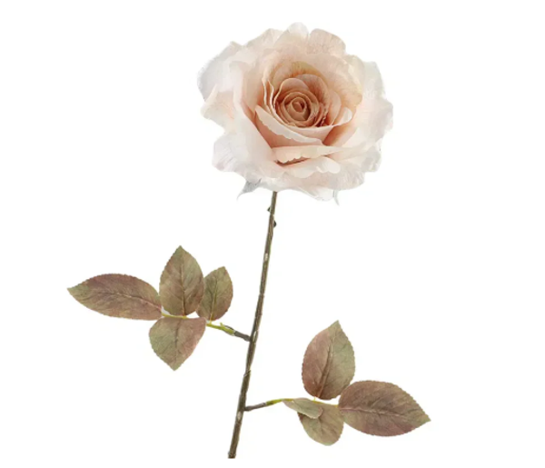 Kunstbloem Roos Dried Beige | 67cm