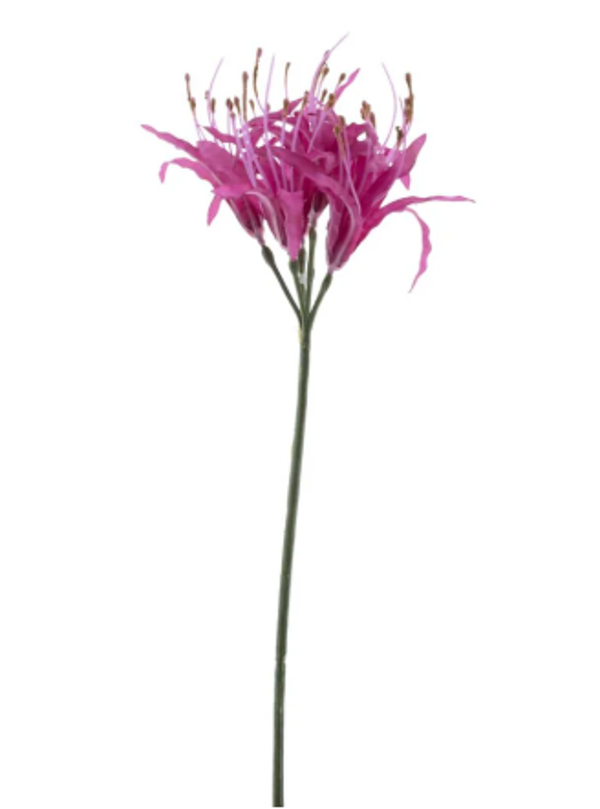 Kunstbloem Nerine Fuchsia | 91cm