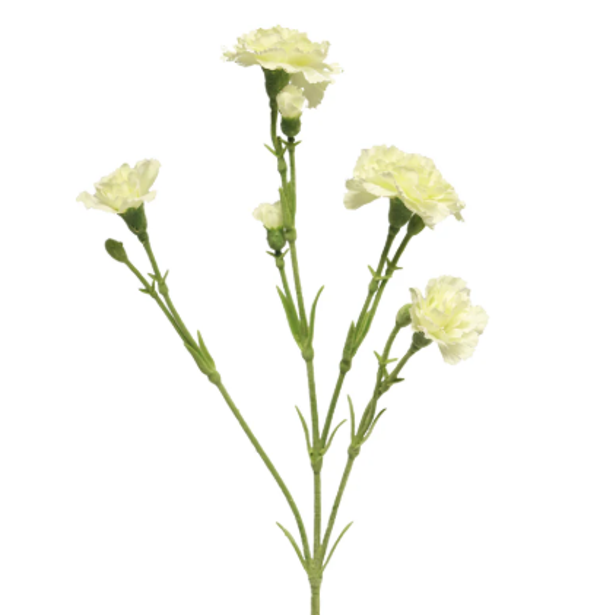 Kunstbloemen Dianthus Creme | 62cm