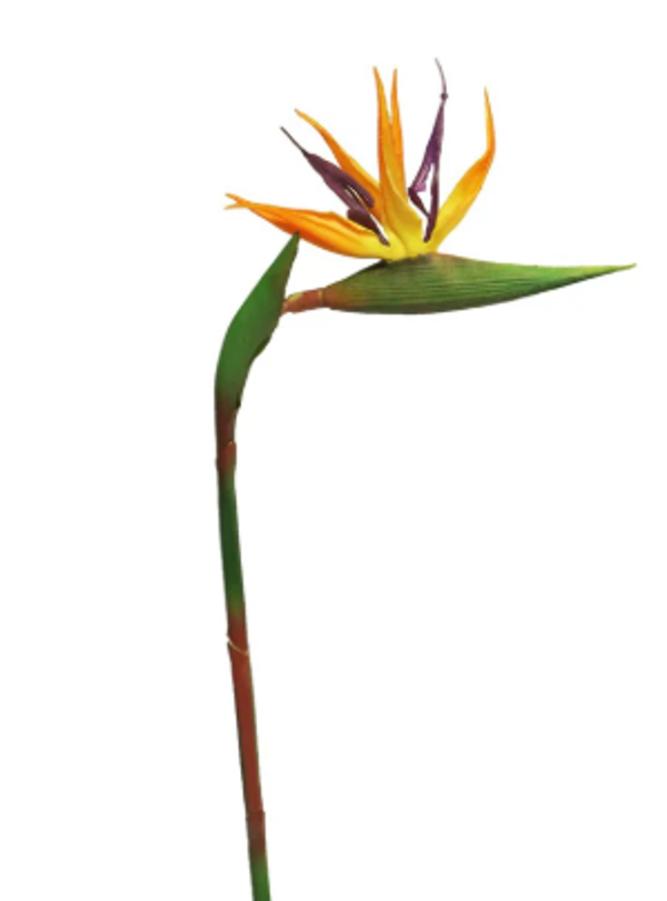 Kunstbloem Strelitzia Paradijs Vogel | Real Touch | 58cm