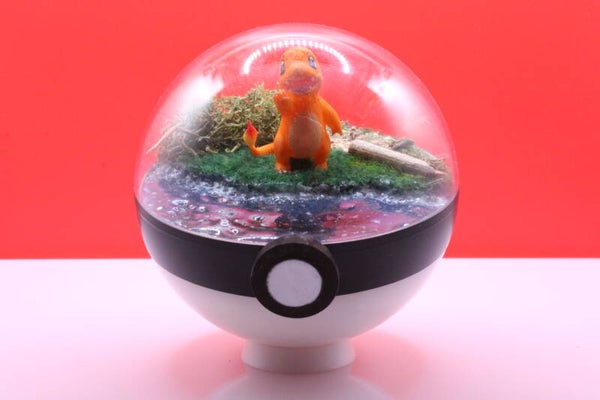PokéBall Diorama petit Sala – Scène Miniature Pokémon