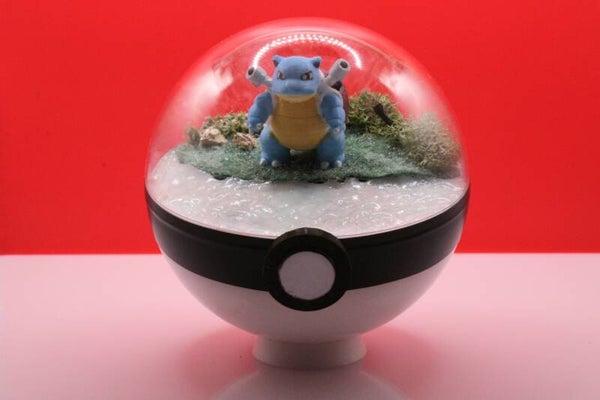 Pokéball de Tortank – La puissance tranquille