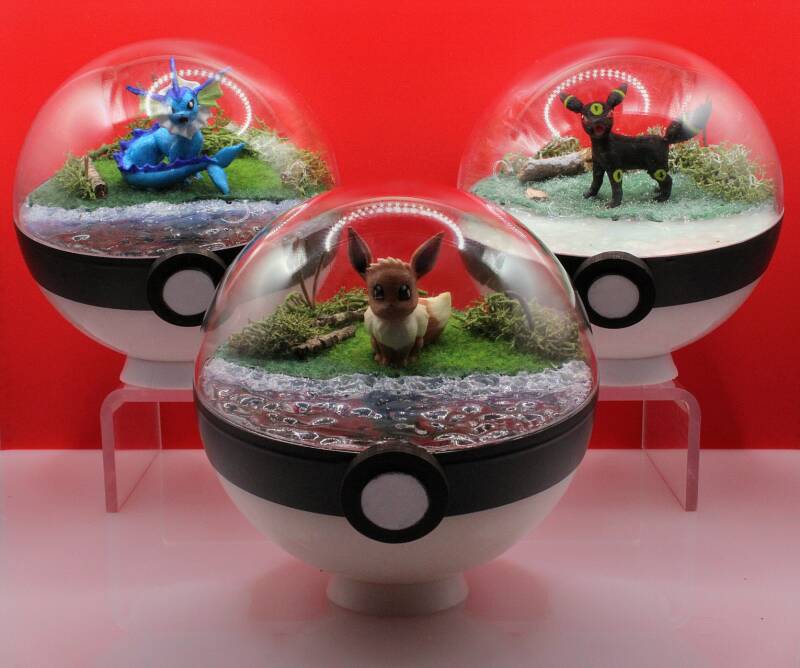 Évoli et évolutions...