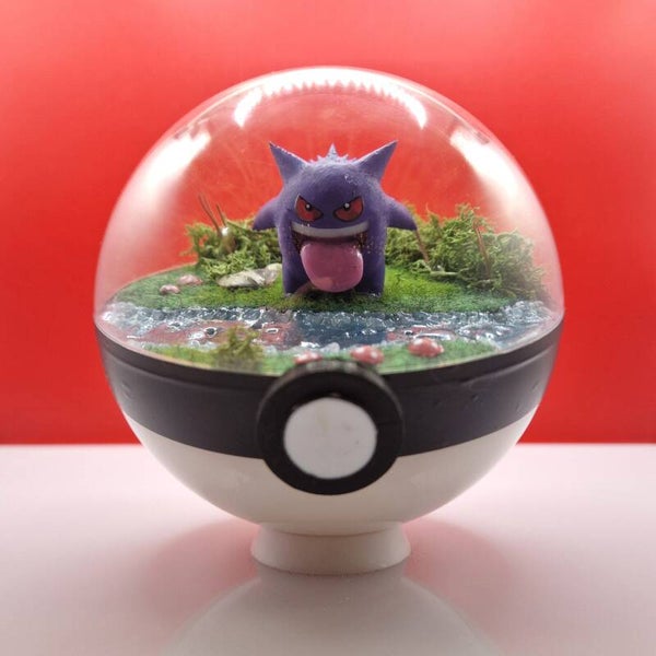 Pokéball - Le Sourire dans l’Ombre