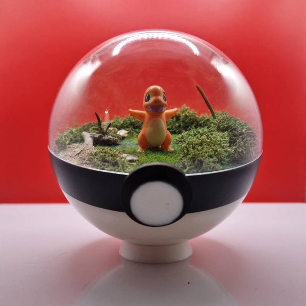 Pokéball - Le Feu du Départ