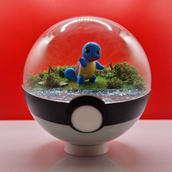 Pokéball - La Vague du Départ