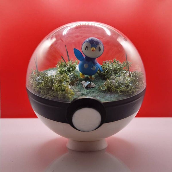 Pokéball - Le Pingouin des Marées