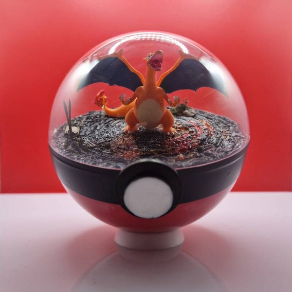 Pokéball - Le Roi des Flammes