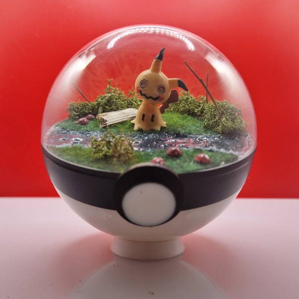 Pokéball - Un Sourire pour Exister