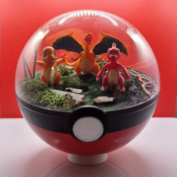 Pokéball Évolution Feu – Salamèche, Reptincel & Dracaufeu
