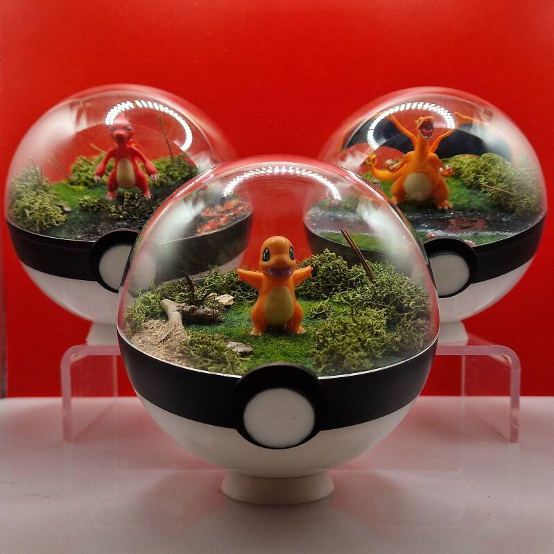 20260508_144747-standard.jpg