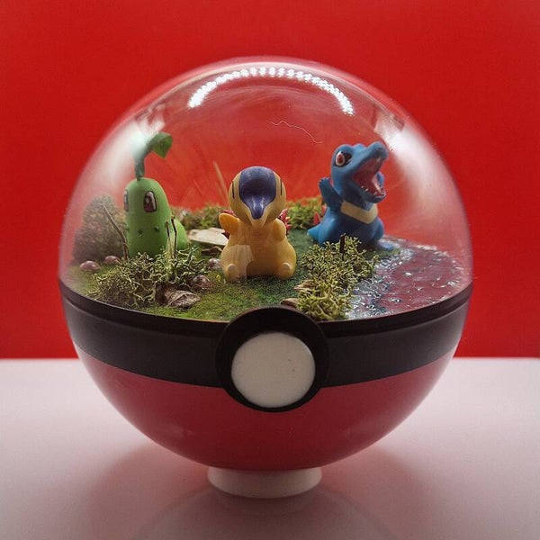 Pokéball - Flammes, Feuilles & Crocs