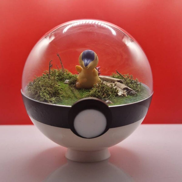 Pokéball – L’univers d’Héricendre