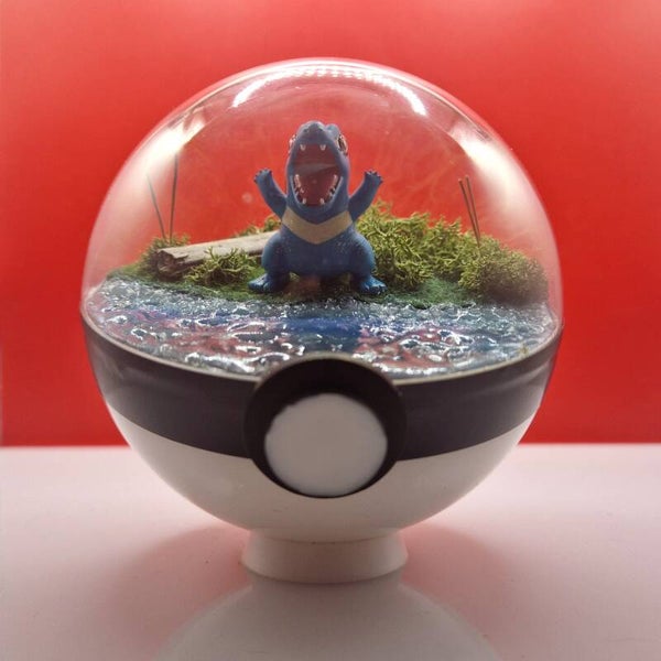 Pokéball – Le rugissement de Kaiminus