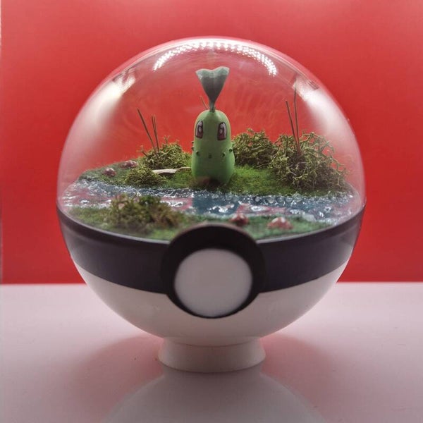 Pokéball – La sérénité de Germignon