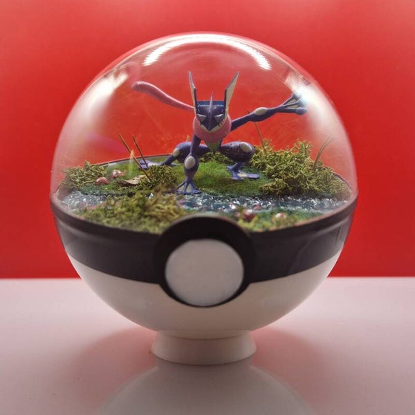 Pokéball - Le Ninja des Flots