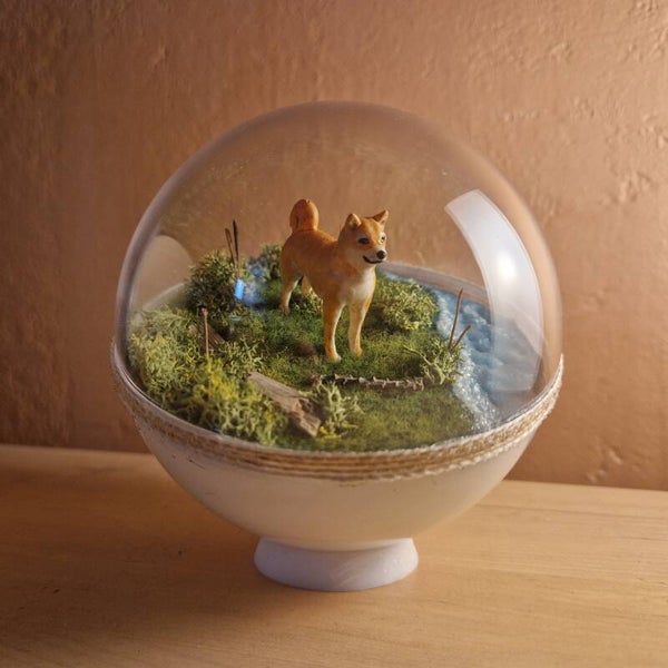 Animasphère - Le Petit Shiba Rêveur