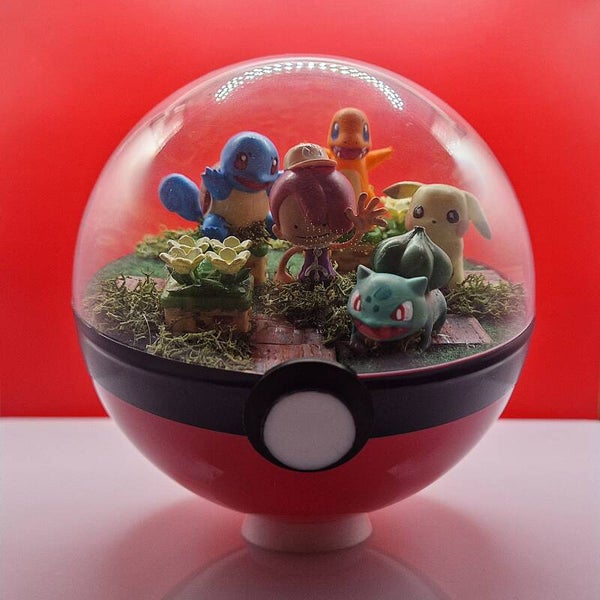 Pokéball – Le Village des Dresseurs