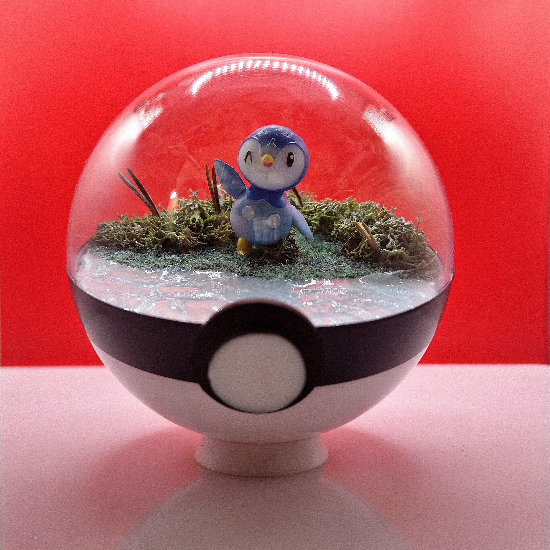 Pokéball - Tiplouf Le Pingouin des Marées