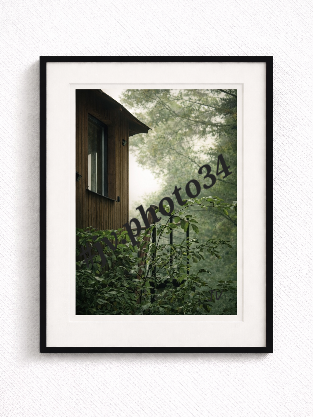 Refuge sylvestre Photographie artistique – Nature & Habitat