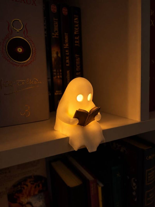 Le petit lecteur de la nuit — Une touche de magie sur votre étagère