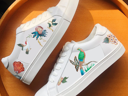 Birds