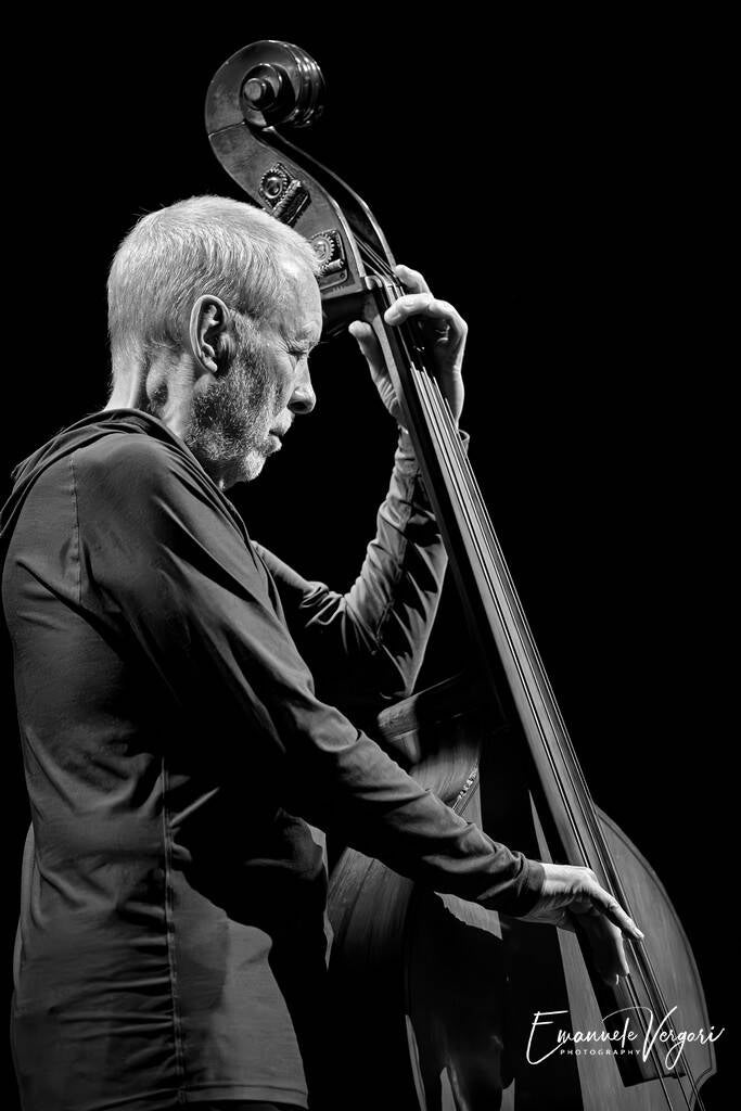 2-daveholland-standard.jpg