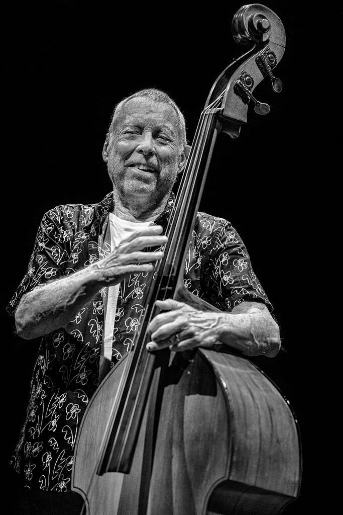 8dave-holland-standard-ctmqfr.jpg