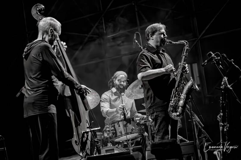 triodaveholland-standard-u4fhfz.jpg
