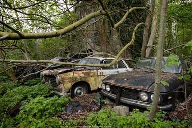 fh1a1113-hdr-edit_vm-standard-bjr6u4.jpg