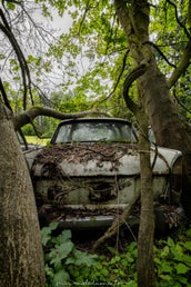 fh1a1143-hdr-edit_vm-standard-sayi21.jpg