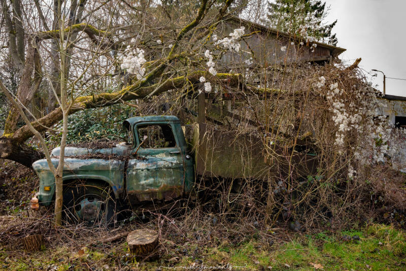 fh1a7687-hdr-bewerkta_vm-standard.jpg