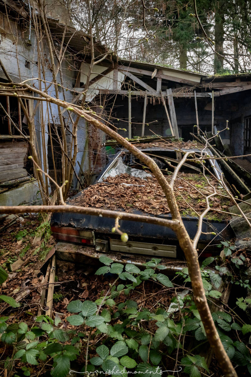 fh1a7688-hdr-bewerkt_vm-standard.jpg