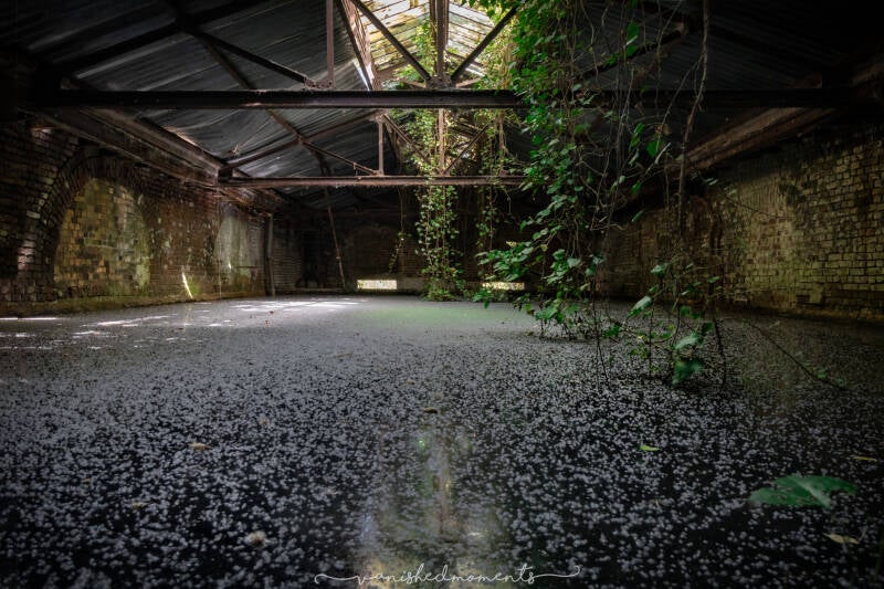 fh1a8707-hdr-bewerkt_vm-standard.jpg