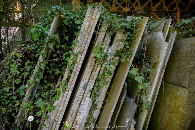 fh1a8722-hdr-bewerkt_vm-standard.jpg
