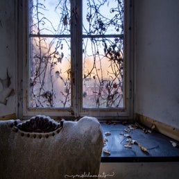 img_6682-hdr_vm-standard.jpg