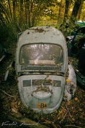 vw10vm-standard-gxlpk0.jpg