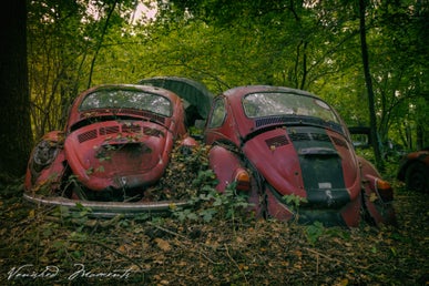 vw2vm-standard-33ytpv.jpg