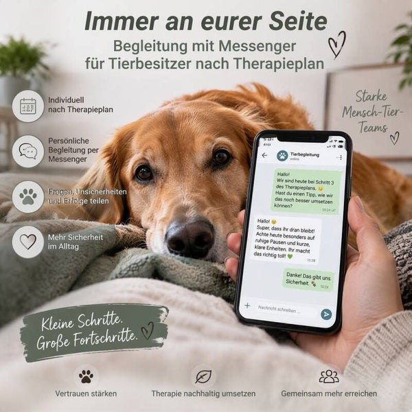 Individuelle Nachbetreuung & Begleitung (4 Wochen)