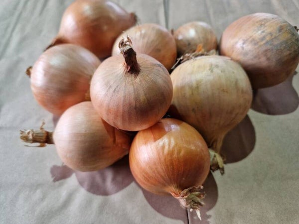 Uien (1kg, biologisch-dynamisch)