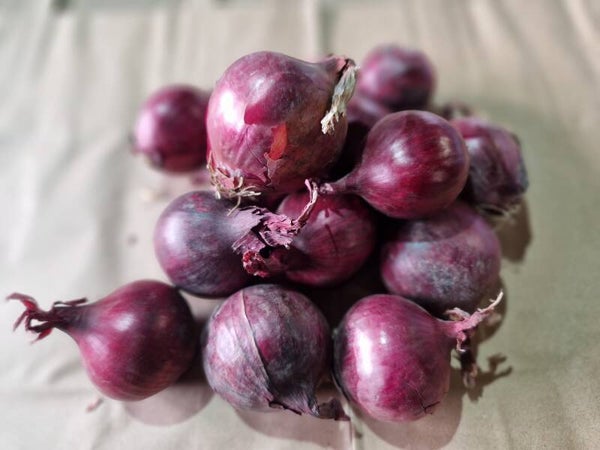 Ui, rood (1 kg, biologisch-dynamisch)