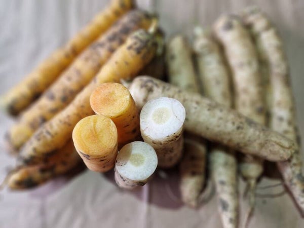 Witte & gele wortel (1kg - biologisch-dynamisch)