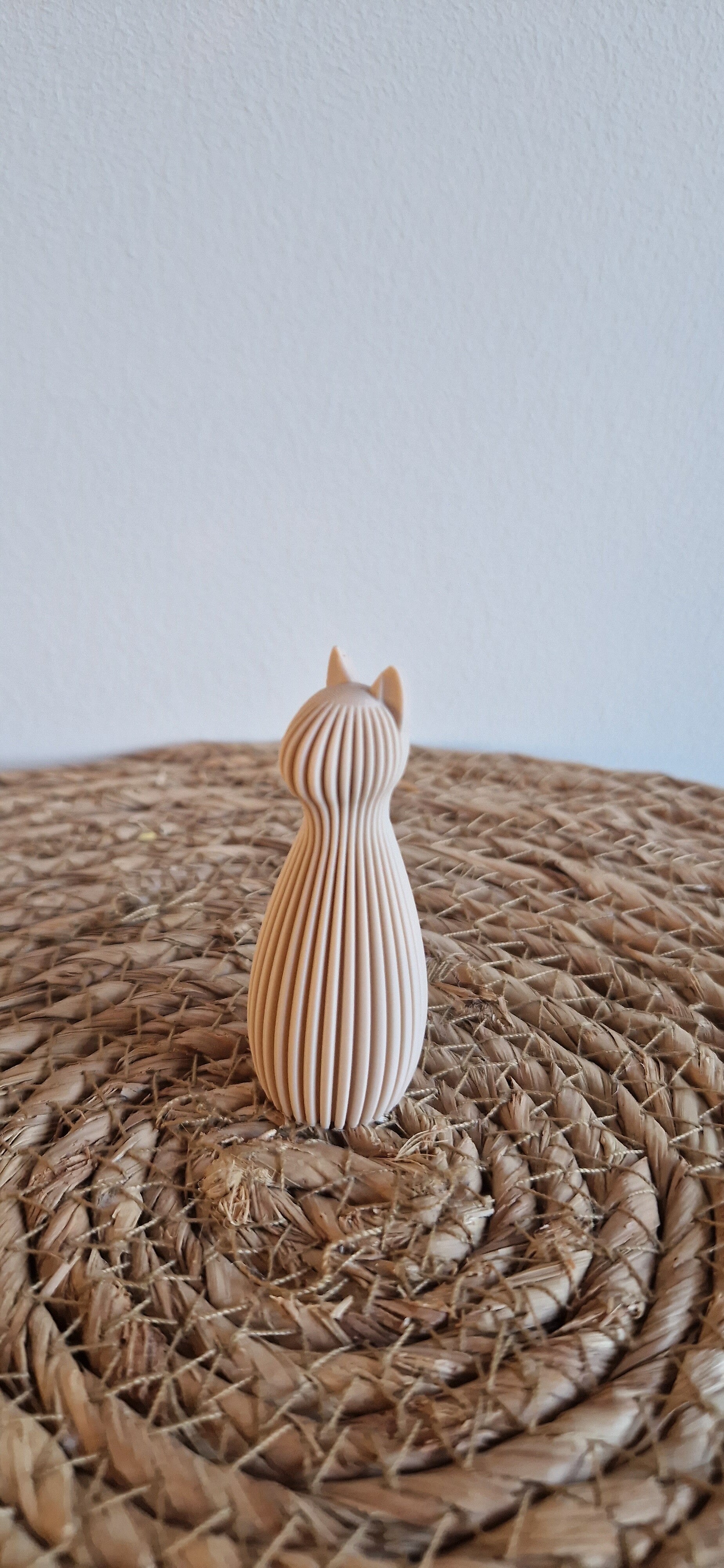 Familiebeeld kat / poes