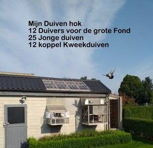 Noel Peiren Zedelgem