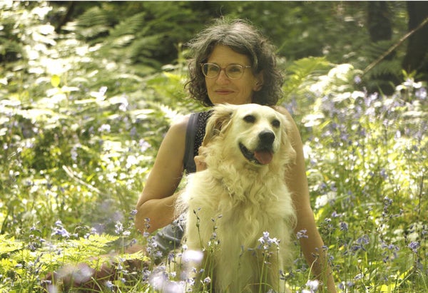 Zugang zu YULAPORTAL, dem geschützten Bereich von Yula