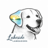 Lakeside Labradors