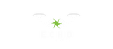 Echo Flight Service