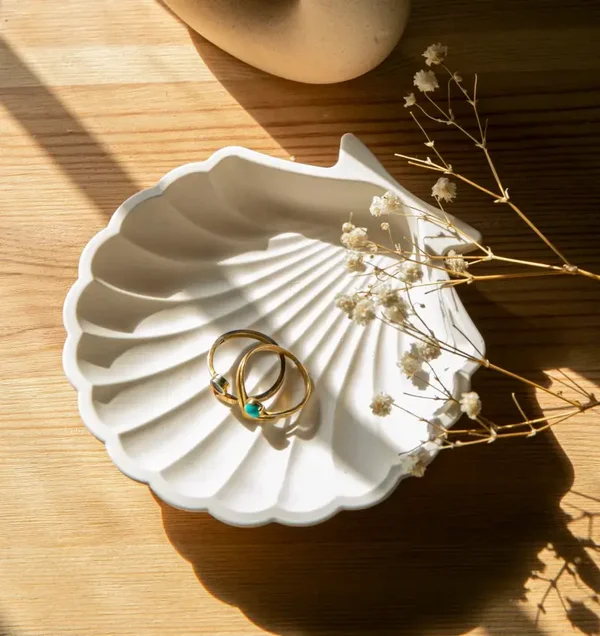 ✨ Coquillage décoratif en Raysin 200