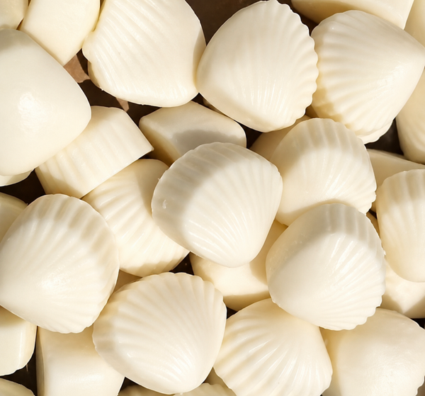 Mini schelp zeepjes
