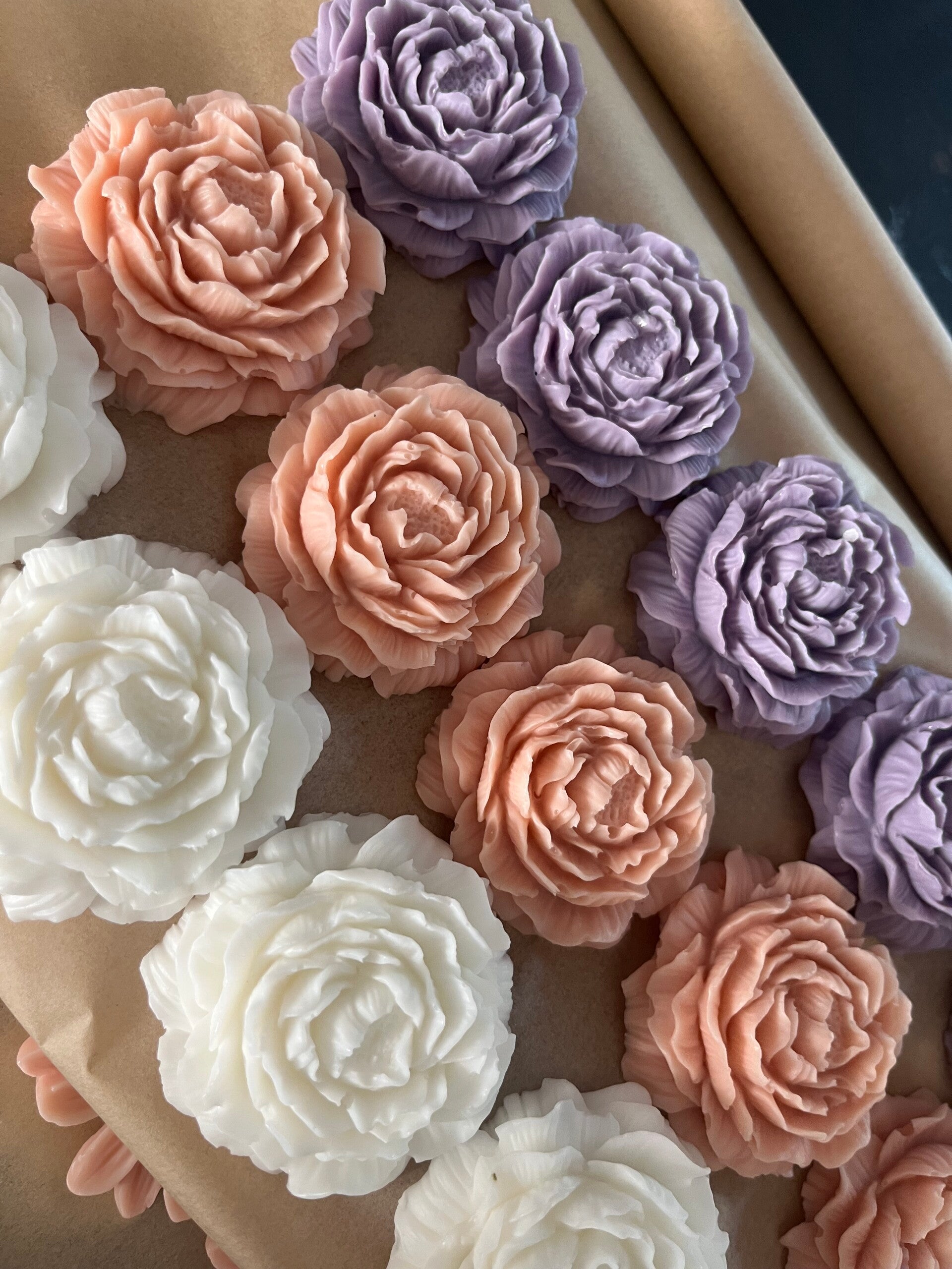 Peony roosje